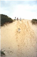 Dunas