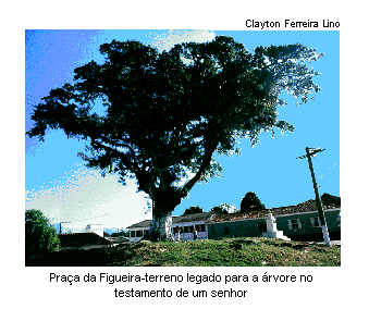 Figueira